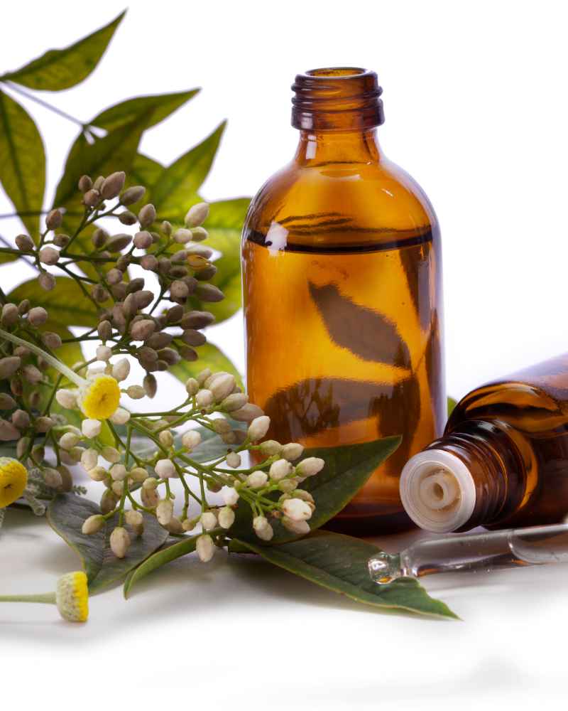An herbal medicine consultation at Elevate Wellness St. Pete
