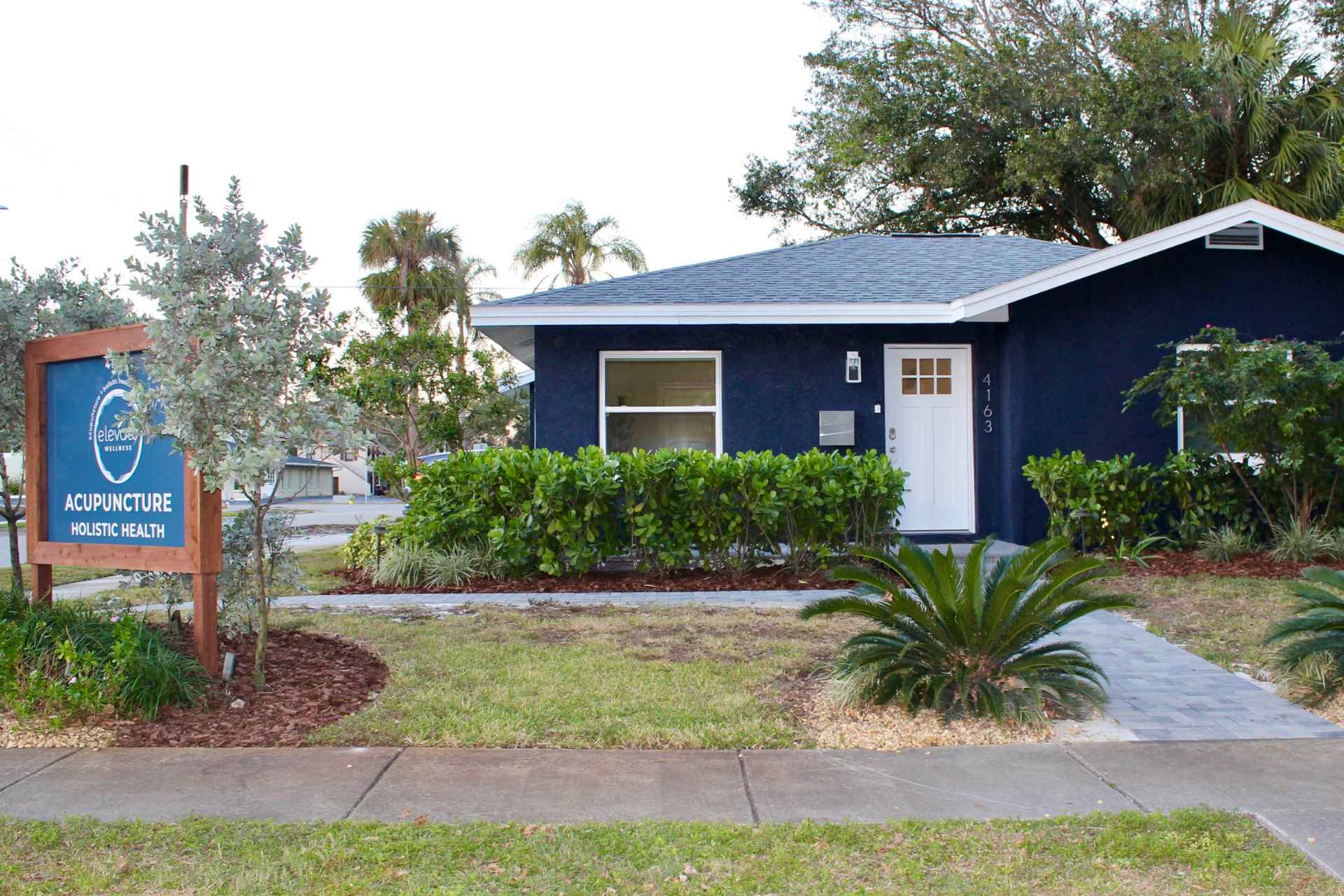 Elevate Wellness St. Pete